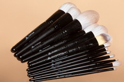 Makeup Brush Kit